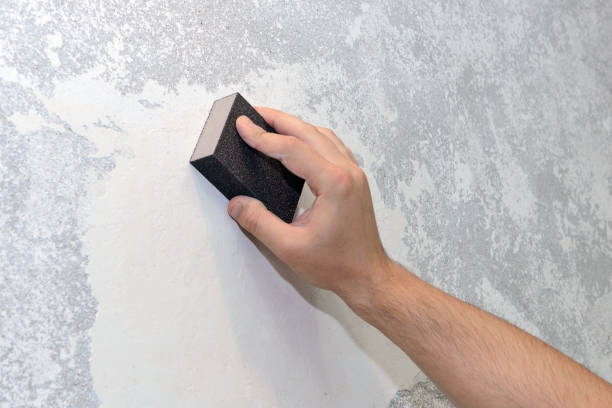 Best Crawl Space Mold Remediation  in Mill Bay, AK