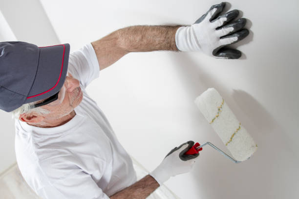 Professional Mold Removal in Mill Bay, AK