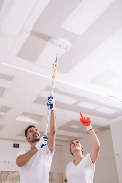 Best Environmental Consulting for Mold Prevention  in Mill Bay, AK