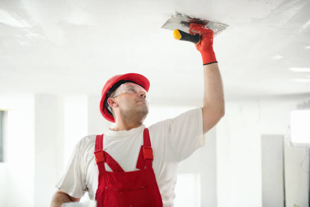 Best Post-Construction Mold Inspection  in Mill Bay, AK