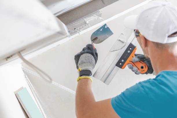 Best Mold Odor Removal Services  in Mill Bay, AK